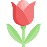 Floristeria Frèsia - Mataró