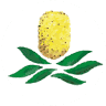 Friends of the Gold Coast Regional Botanic Gardens