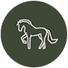Gramayre Friesian Stud