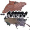 Friul Porfido Snc