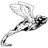Frog Flugservice GmbH