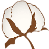 Frogmore Cotton Plantation & Gins