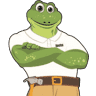 Frogtown Roofing Roof Refine