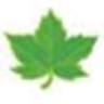 Frontier Tree Services