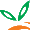 FruGo