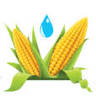 Fox River Valley Ethanol