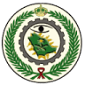 Facilities Security Forces