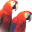 FUCER