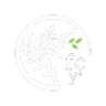 Full Circle Yoga + Pilates