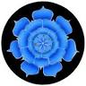 Fundació Lotus Blau Yoga