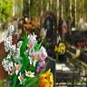 Green Burials of Love Ltd Inc