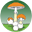 Funghi Mara