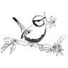 Funkybird