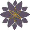 Fusion Yoga