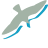 Fysiodelta