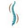 Fysiotherapie Vis