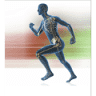 Fysiotherapie Cremers Aalsmeer