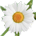 Bauernladen Eberhardt