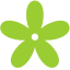 Gärtnerei Stefan Bauer / Blumen und Floristik