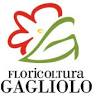 Floricoltura Gagliolo
