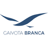 Gaivota Branca