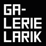 Galerie Larik