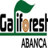 Galiforest