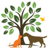 Galilee Veterinary Hospital