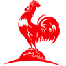 Galli S.r.l.