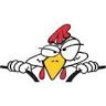 GALLINA MOTOPEÇAS-Desvio Rizzo