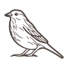 Gandrud Financial Services