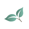 Garden State Dental Associates: Wertheini Marc DDS