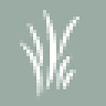Gardner Springs Dentistry