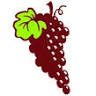 Garland Wines
