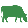 Garrison Limousin