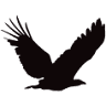 Garuda International Inc