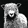 Gaspereau Valley Fibres - Yarn Shop
