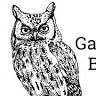 Gastenverblijf B&B velduil
