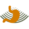 Gastroimagem