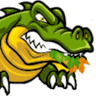 Gator Metal Roofing