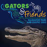 Gators and Friends