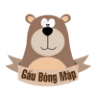Shop GẤU BÔNG MẬP