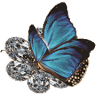 Gawee Fine Jewelry & Timepieces / Korloff PARIS