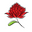 Gawler Flower Gallery