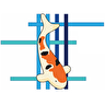 G & D Koi and Aquariums