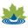 Geauga Soil & Water Conservation District