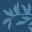 Gechoff Orthodontics