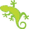 Gecko Hair