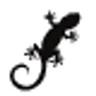 Gecko Leather Works