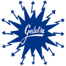 TRANSFORMADORES GEDELSA
